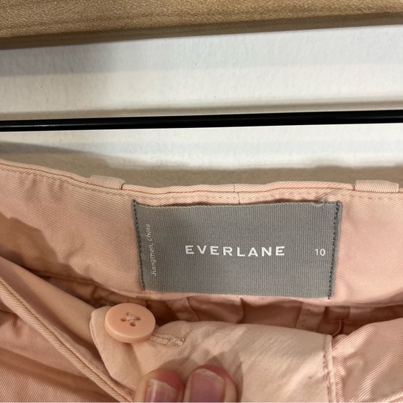 Everlane Pink Slouchy Chino Cotton Pleated Pant Size 10 - Picture 7 of 8